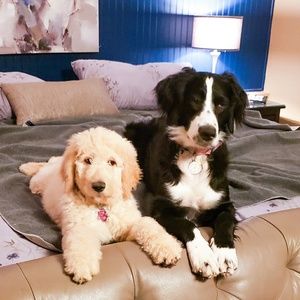 Meet your Posher, Deborah